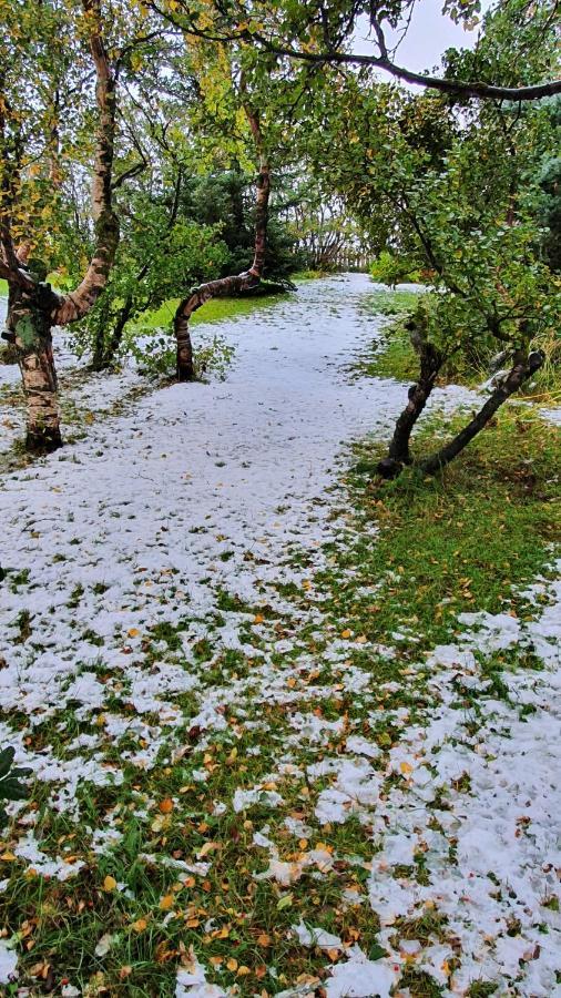 Karuna Guesthouse Saudarkrokur Bagian luar foto