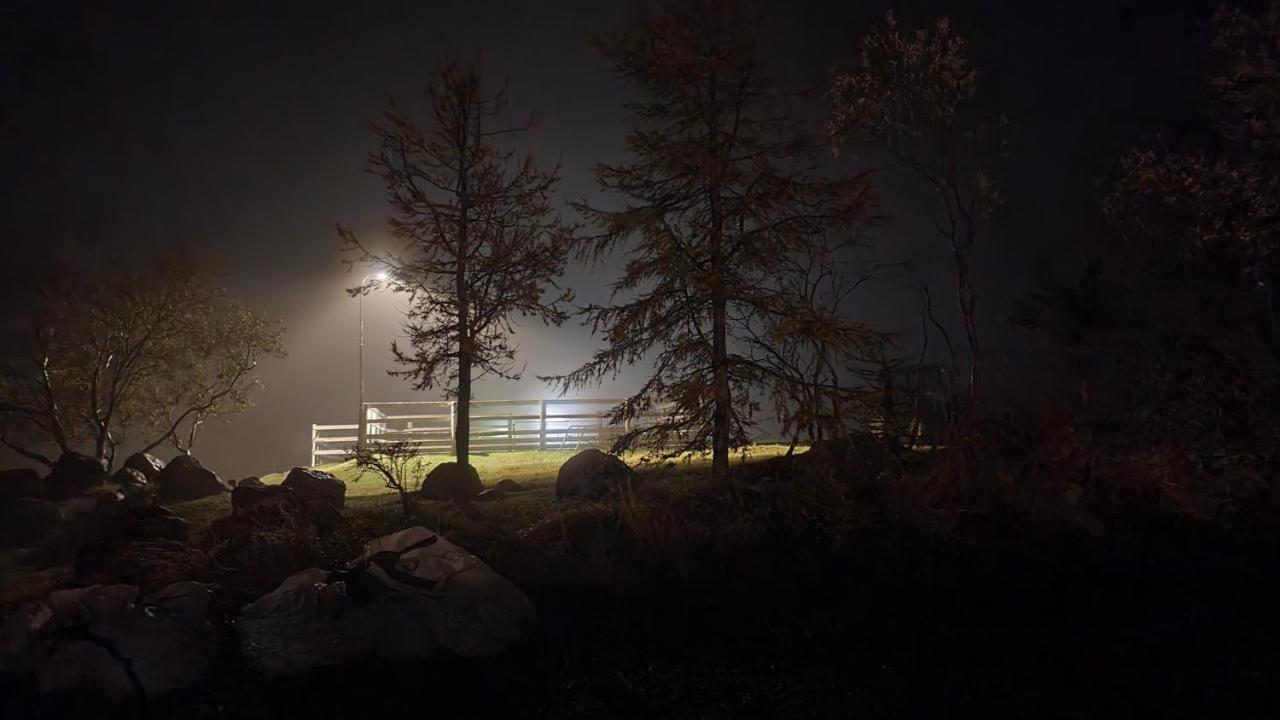 Karuna Guesthouse Saudarkrokur Bagian luar foto