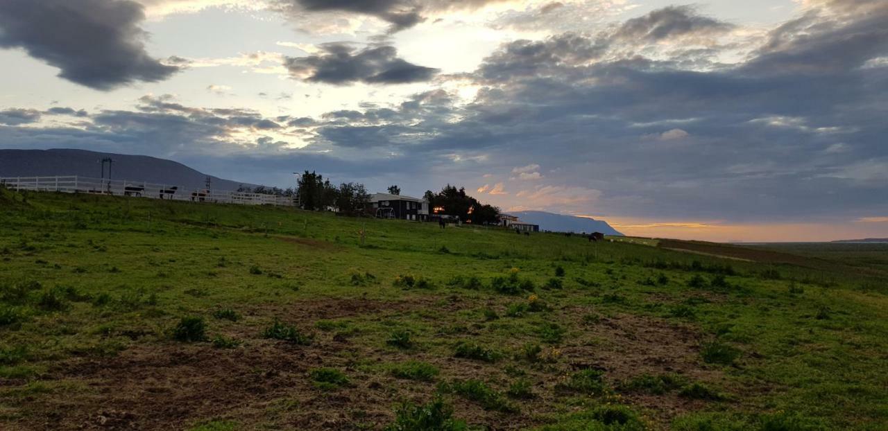 Karuna Guesthouse Saudarkrokur Bagian luar foto